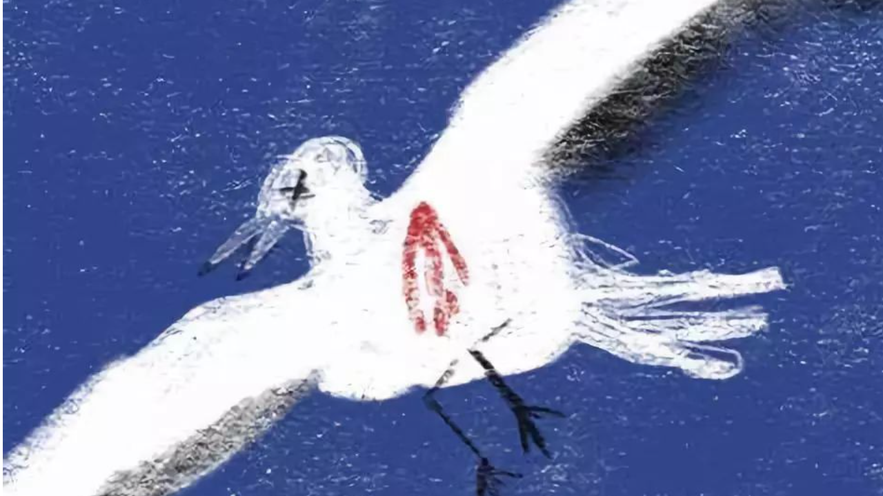 契诃夫《海鸥》 thumbnail